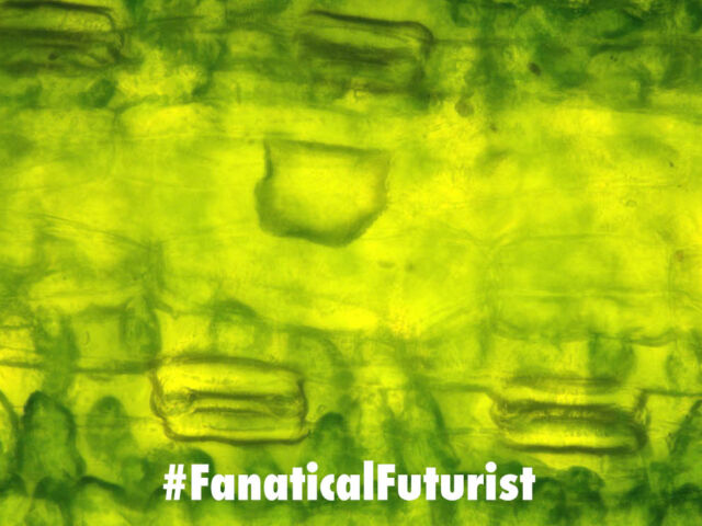 Futurist_hydrogenfuelcells