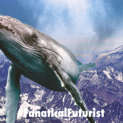 Futurist_flying_whale