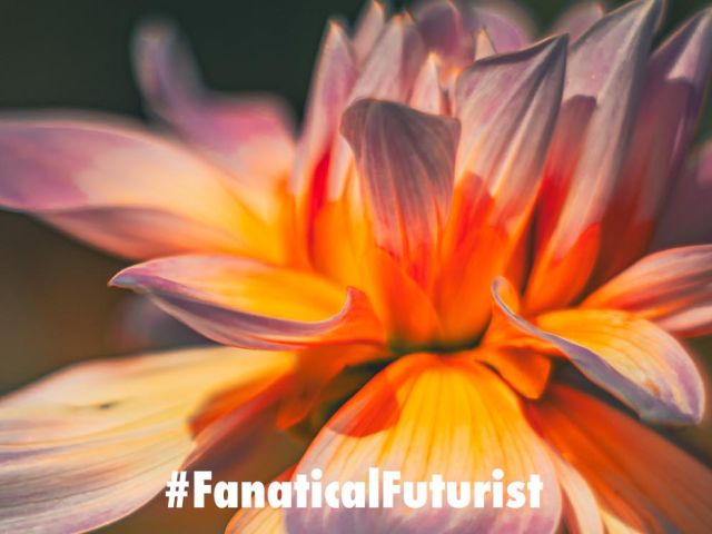 Futurist_nanocamera
