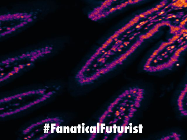 Futurist_nanotransfections
