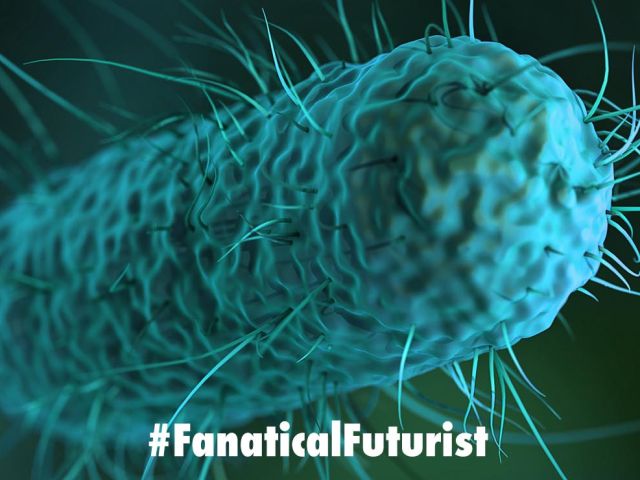 Futurist_ecolicomputer