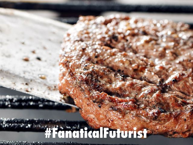 Futurist_frycook