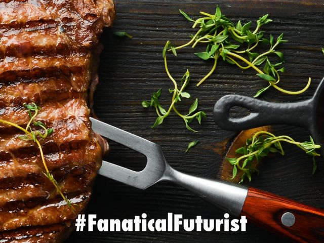 Futurist_steakair