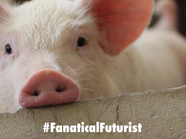 Futurist_Bpigai