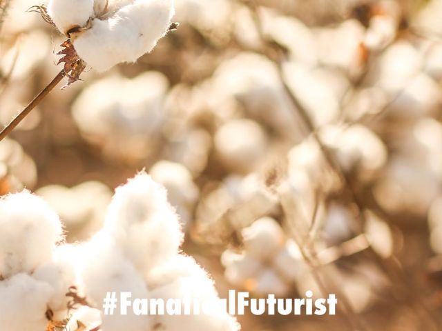 Futurist_cottonrf