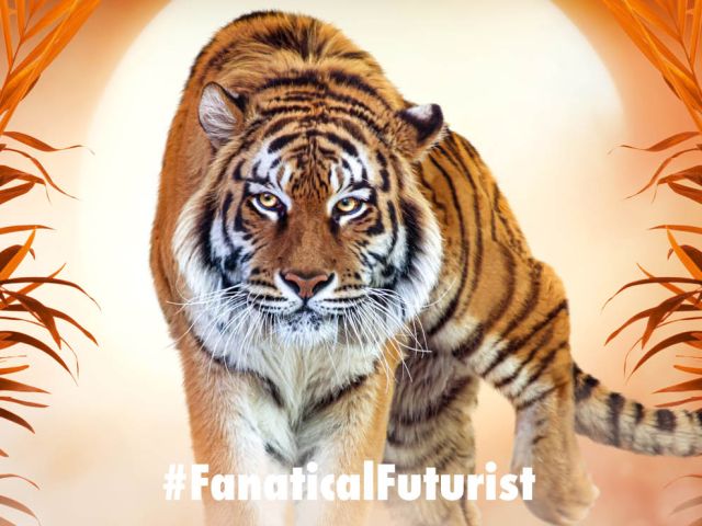 Futurist_jpmorgantiger
