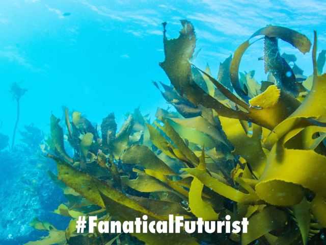 Futurist_Bnotpla2