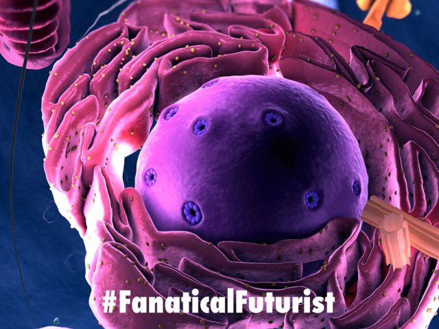 Futurist_cellsrecord