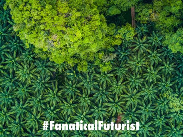 Futurist_palmoil