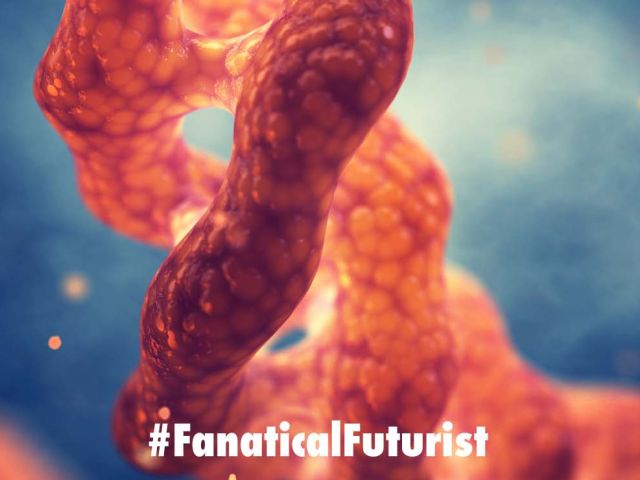Futurist_proteinai