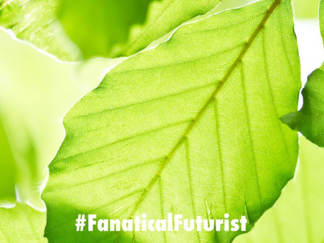 Futurist_solarfuelsjpg