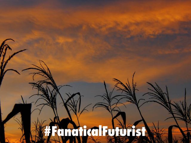Futurist_darkcrop