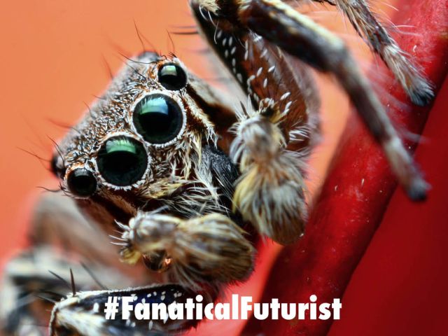 Futurist_hapticspider
