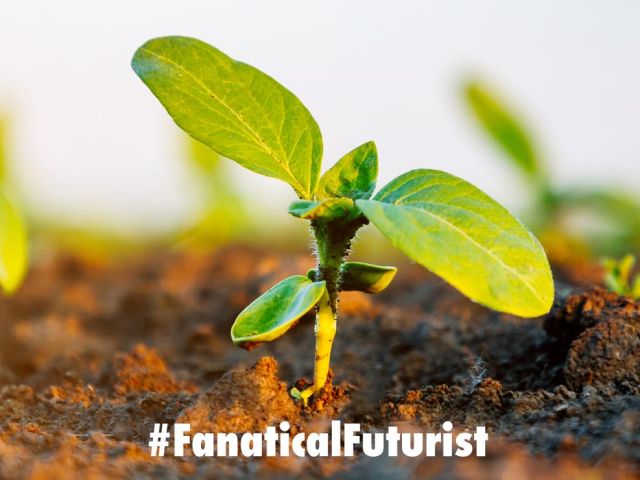 Futurist_plantelectronic