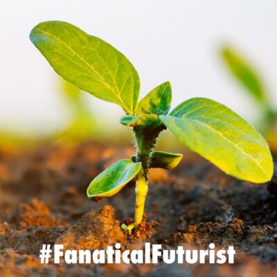 Futurist_plantelectronic