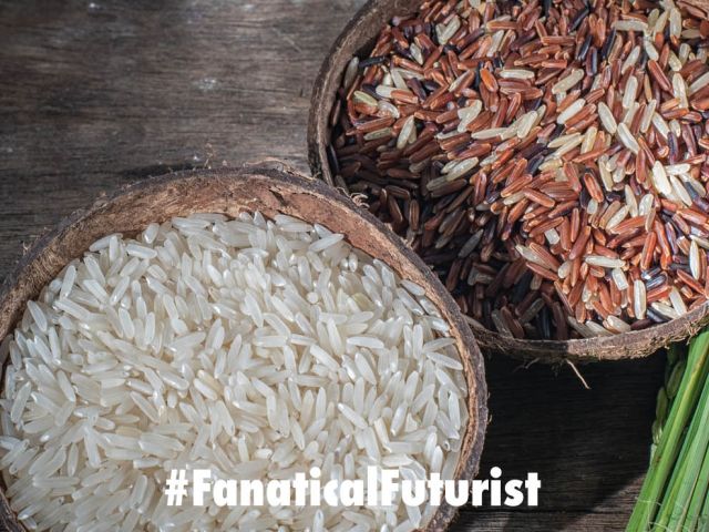 Futurist_rice1