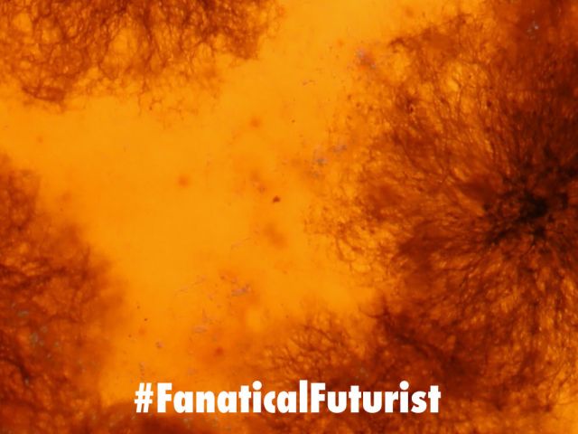 Futurist_biomfr