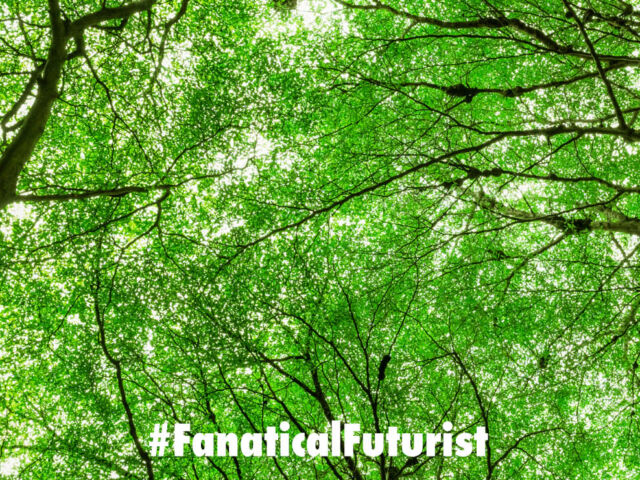 Futurist_carbcred