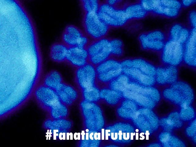 Futurist_chinachromosome