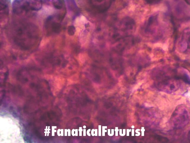 Futurist_canvacc