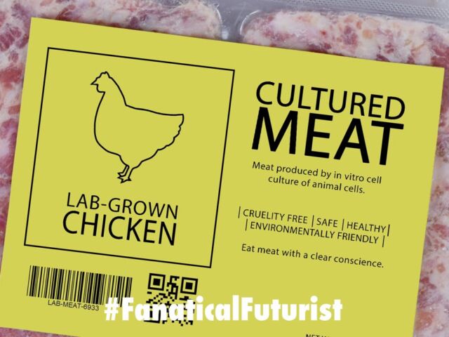 Futurist_cleanmeatchick