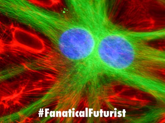 Futurist_cellrecorder