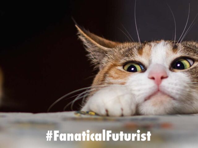 Futurist_mouseeye