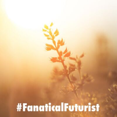 Futurist_sunlightbottle