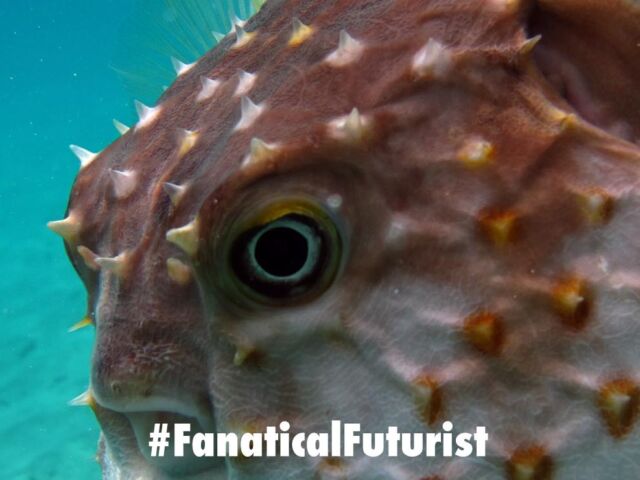 Futurist_brunway