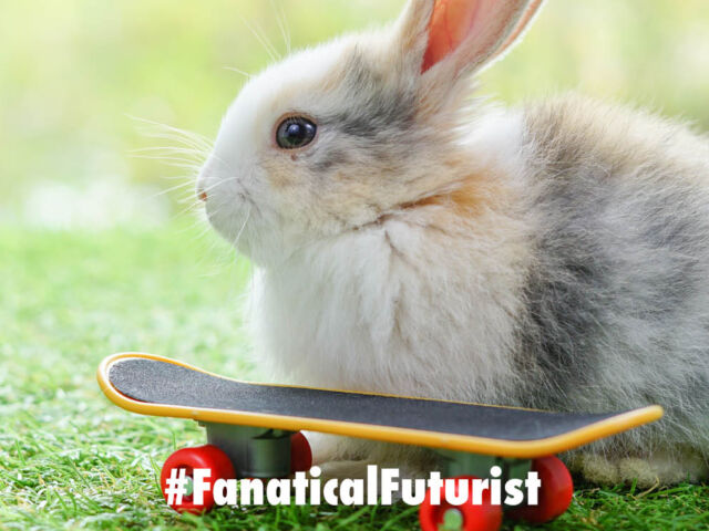 Futurist_bunny