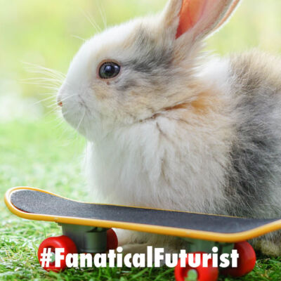 Futurist_bunny