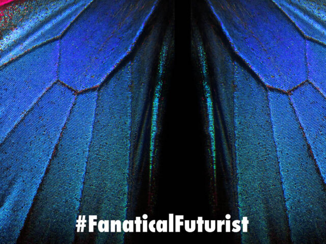 Futurist_butterfly