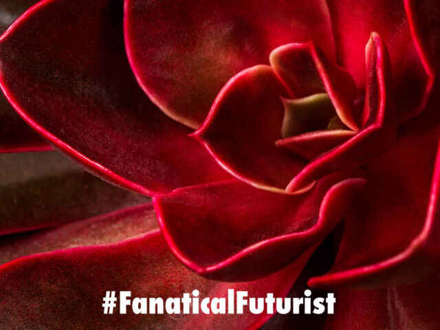 Futurist_lumaai