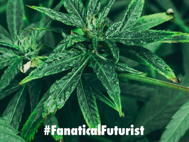 Futurist_moltag