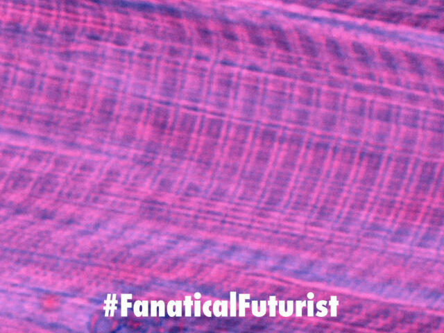 Futurist_muscletrans