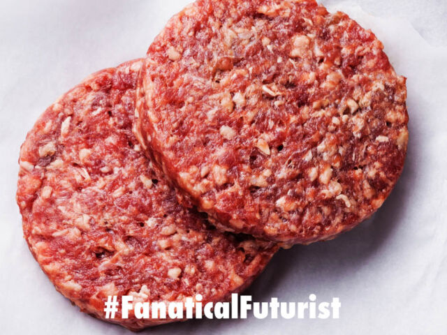 Futurist_eatjust