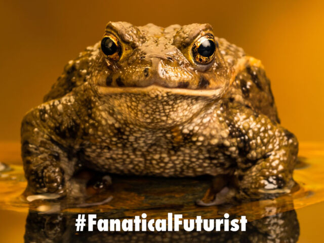 Futurist_toad