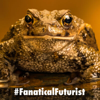 Futurist_toad