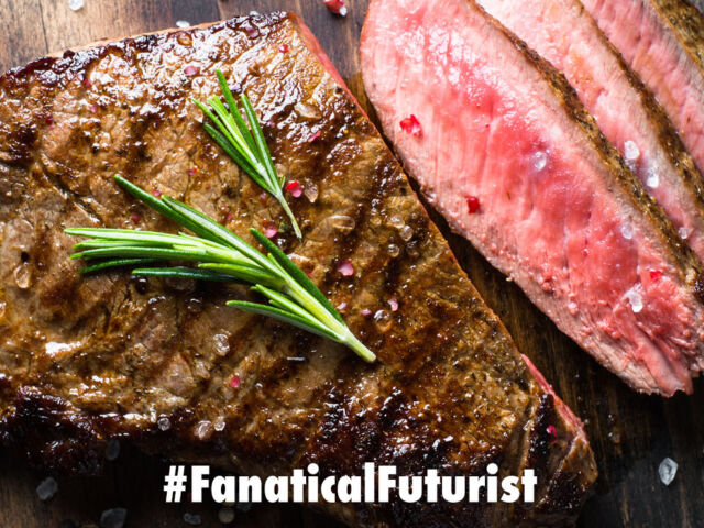 Futurist_nuprotein