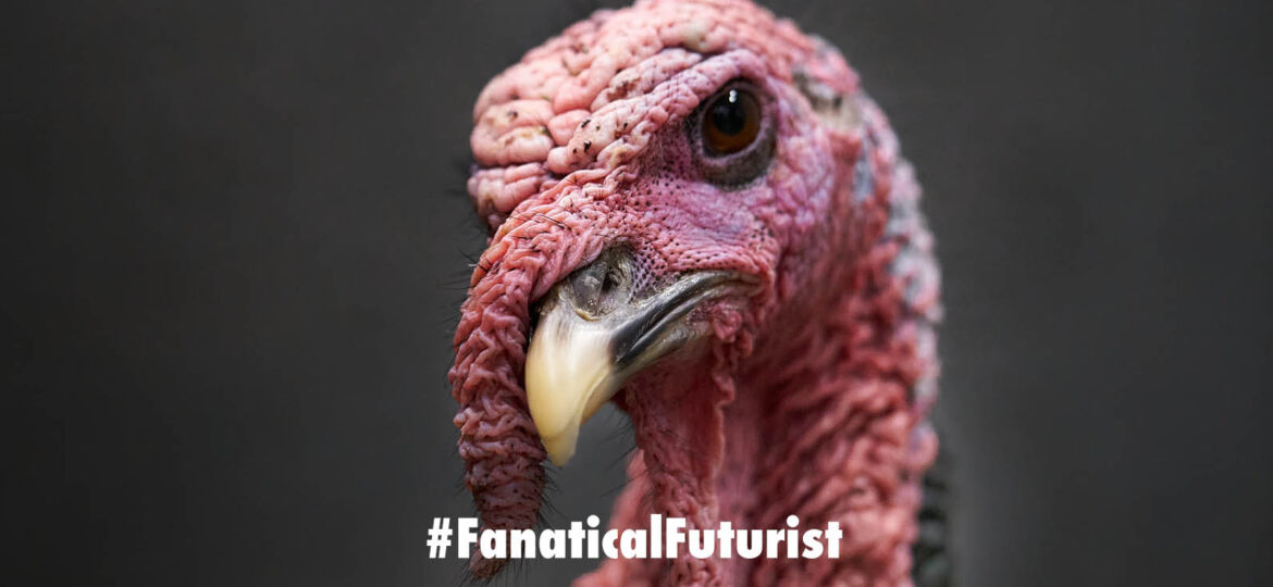 Futurist_turkey