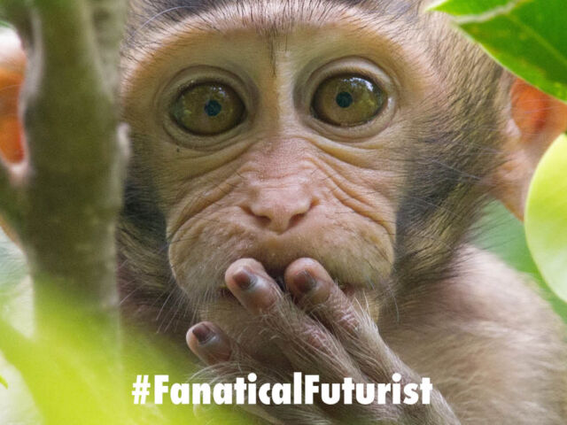 Futurist_glowingmonkey