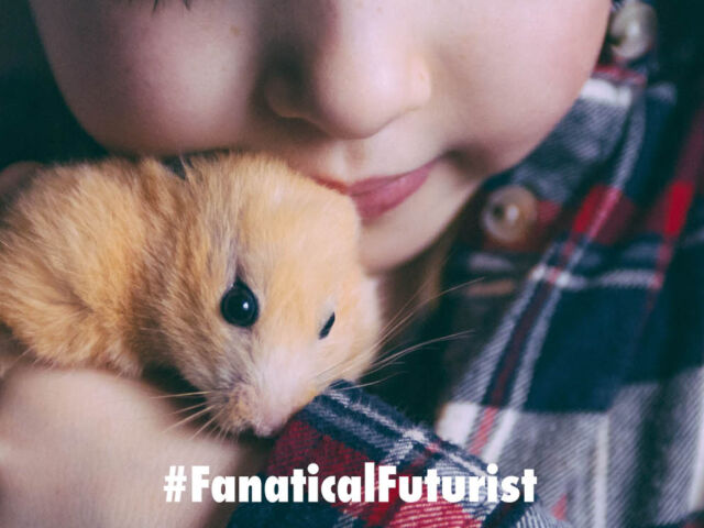 Futurist_hamster