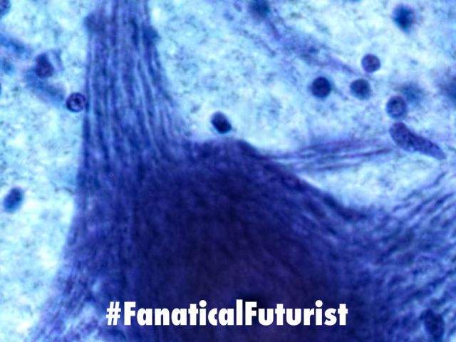 Futurist_brainchip