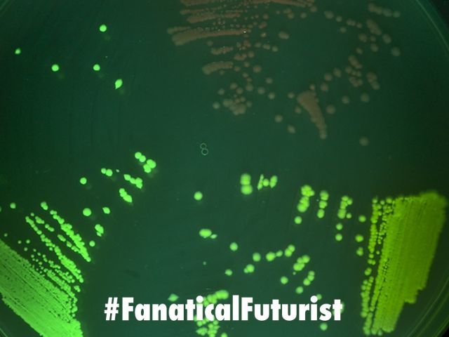 Futurist_Bbacdisp