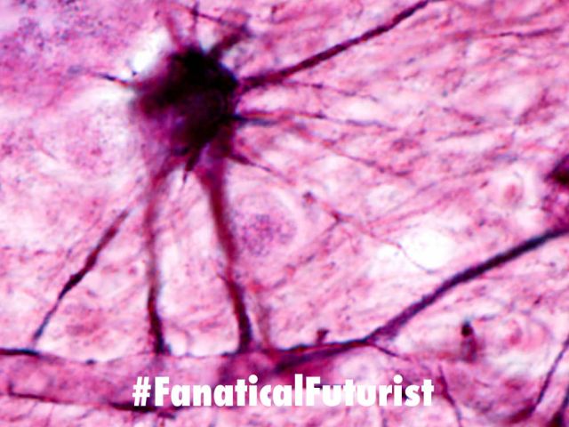 Futurist_bloodbrain