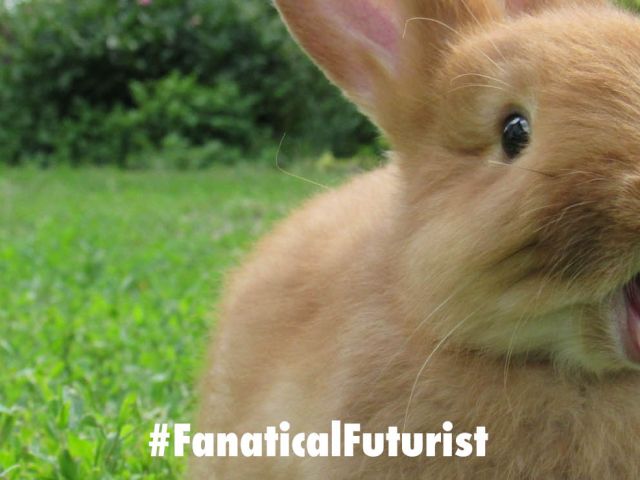 Futurist_rabbtr1