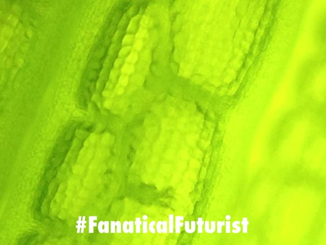 Futurist_biocirculardc
