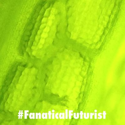 Futurist_biocirculardc