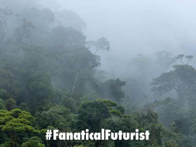 Futurist_Bbrazildrex