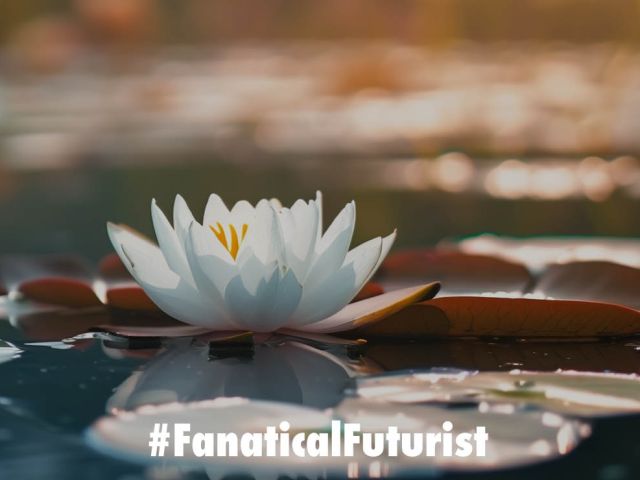 Futurist_lilies